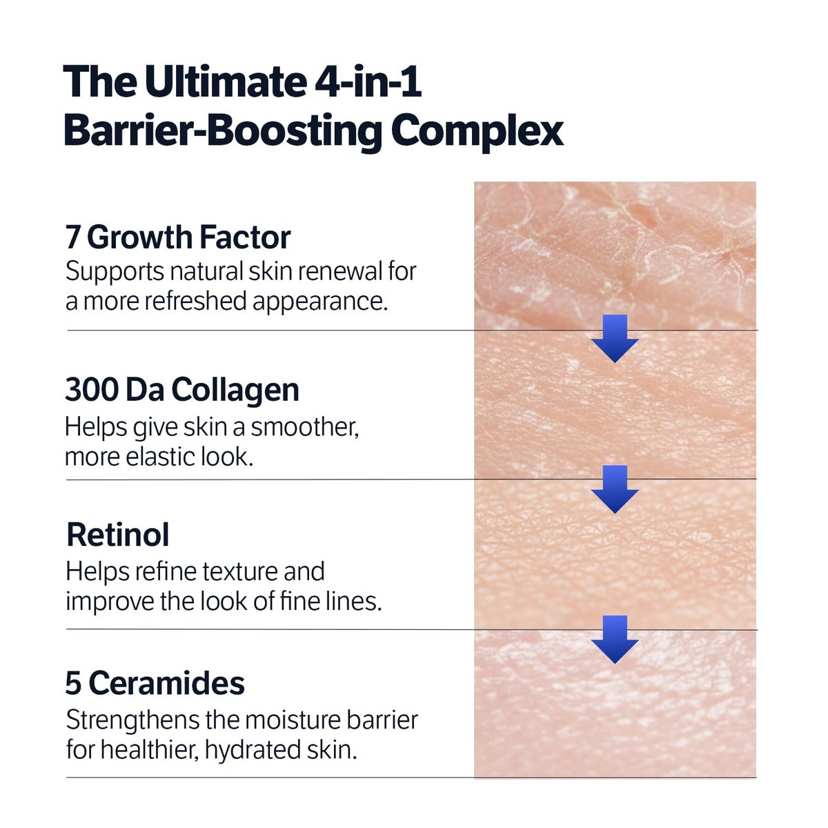 SUNGBOON EDITOR Deep Collagen 7GF Korean Night Cream for Face and Neck | Advanced Skincare Formula with 5 Ceramides & Retinol | Firm-Looking & Barrier-Supporting Nighttime Moisturizer, 1.69 oz Avelisse