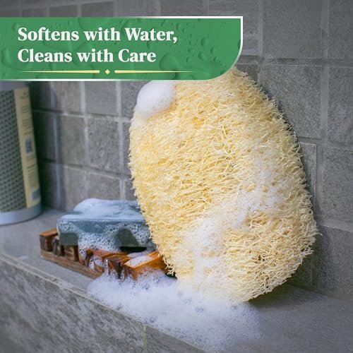 Natural Loofah Exfoliating Body Scrubber (8 Pack) - Organic Biodegradable Shower Luffa Sponges Avelisse