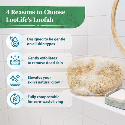 Natural Loofah Exfoliating Body Scrubber (8 Pack) - Organic Biodegradable Shower Luffa Sponges Avelisse