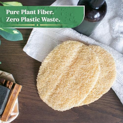 Natural Loofah Exfoliating Body Scrubber (8 Pack) - Organic Biodegradable Shower Luffa Sponges Avelisse