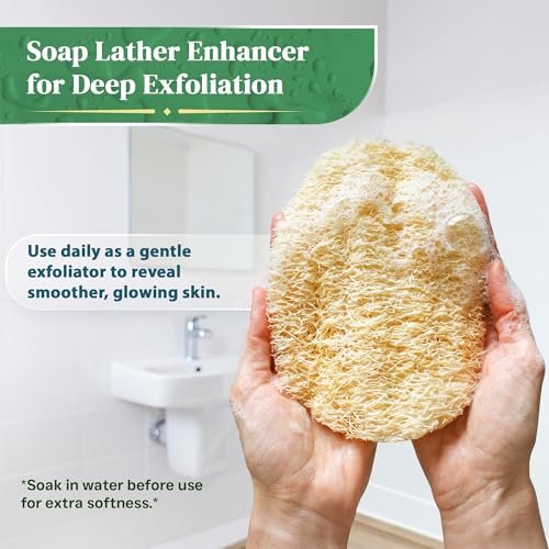 Natural Loofah Exfoliating Body Scrubber (8 Pack) - Organic Biodegradable Shower Luffa Sponges Avelisse
