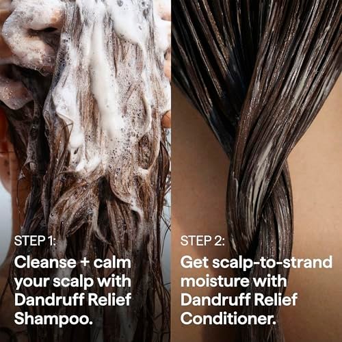 Briogeo Scalp Revival Dandruff Relief Shampoo with Charcoal + 3% Salicylic Acid - Daily Anti-Dandruff Shampoo for Flakes, Itch & Irritation - Color-Safe - Vegan & Cruelty-Free - 8.4 fl oz Avelisse
