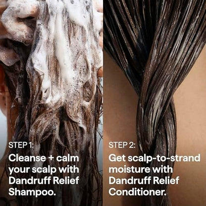 Briogeo Scalp Revival Dandruff Relief Shampoo with Charcoal + 3% Salicylic Acid - Daily Anti-Dandruff Shampoo for Flakes, Itch & Irritation - Color-Safe - Vegan & Cruelty-Free - 8.4 fl oz Avelisse