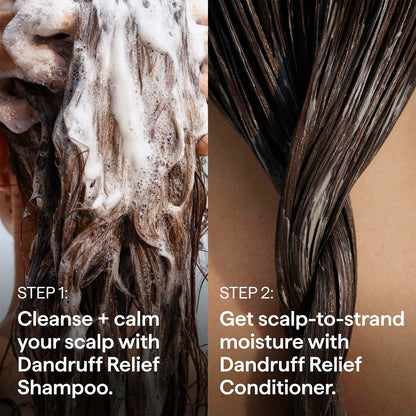 Briogeo Scalp Revival Dandruff Relief Shampoo with Charcoal + 3% Salicylic Acid - Daily Anti-Dandruff Shampoo for Flakes, Itch & Irritation - Color-Safe - Vegan & Cruelty-Free - 8.4 fl oz Avelisse