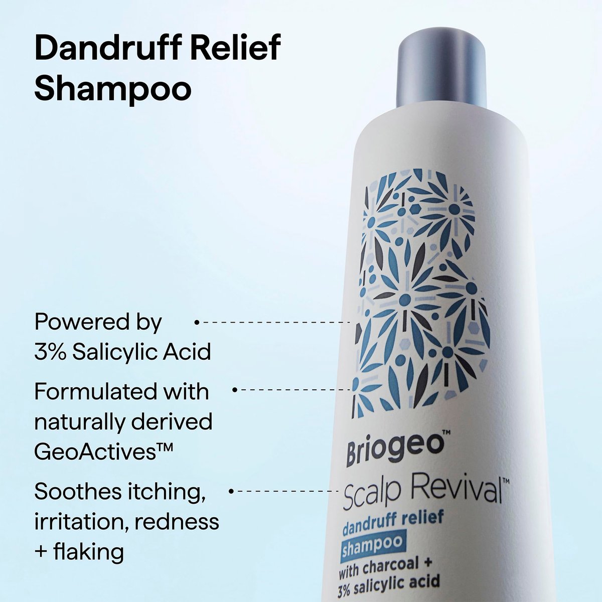 Briogeo Scalp Revival Dandruff Relief Shampoo with Charcoal + 3% Salicylic Acid - Daily Anti-Dandruff Shampoo for Flakes, Itch & Irritation - Color-Safe - Vegan & Cruelty-Free - 8.4 fl oz Avelisse