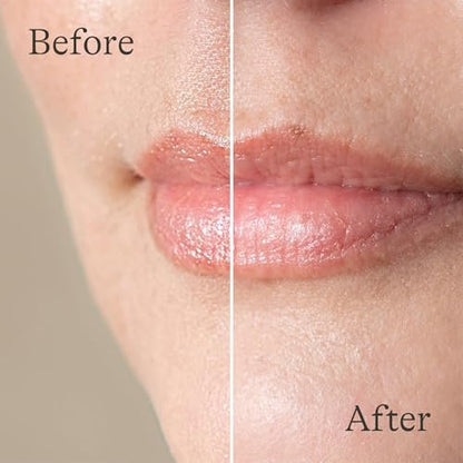 Lansinoh Lanolin Lip Balm, 2 Pack, 0.25 oz Each - Ultra-Moisturizing Lip Care with Natural Lanolin for Dry, Chapped Lips