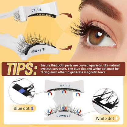 QUEWEL Magnetic Eyelashes 4 Pair Reusable Natural Look Lash Clusters Kit with Applicator – No Glue Needed, Easy to Wear and Remove (Black, 4 Pairs) Avelisse