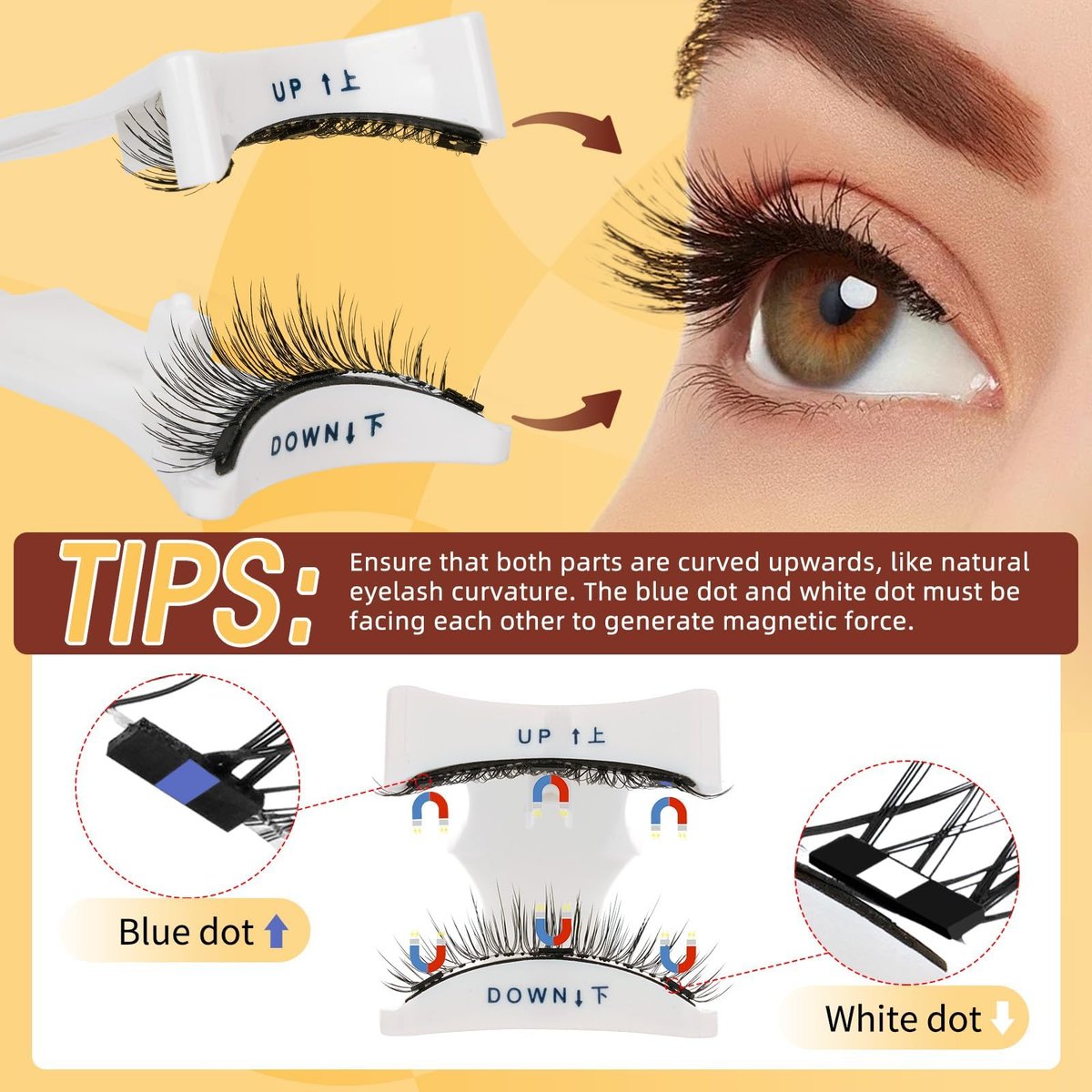 QUEWEL Magnetic Eyelashes 4 Pair Reusable Natural Look Lash Clusters Kit with Applicator – No Glue Needed, Easy to Wear and Remove (Black, 4 Pairs) Avelisse
