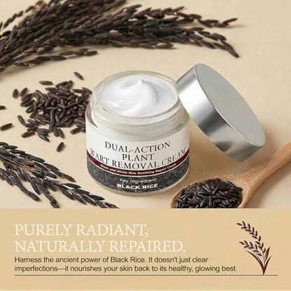 Yocisku Keratin Erase Dual-Action Renewal Cream – Black and White Rice Soothing Repair Cream for Smooth, Refined Skin – Natural Face Moisturizer for All Skin Types (1.69 Fl Oz) Avelisse