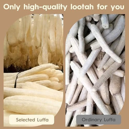 EMCHEIKE Natural Loofah Exfoliating Body Scrubber – 3 Pack Egyptian Shower Loofah Sponge with Adhesive Hook Avelisse