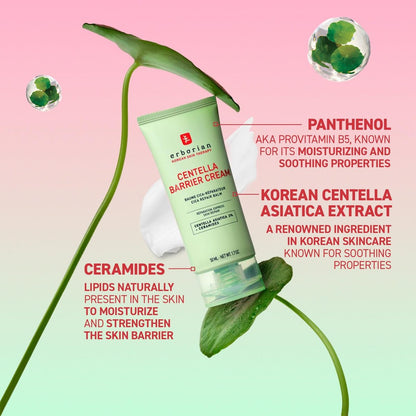 Erborian Centella Barrier Cream - Recovery Balm for Dry & Sensitive Skin, Deep Ceramide Moisturizer, Calms & Repairs Texture, Korean Skincare Avelisse