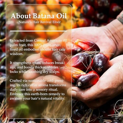 OLCG 100% Raw Batana Oil for Hair Growth - Pure Batana Oil Paste, Enhances Thickness & Shine, Reduces Breakage and Hair Loss, Nourishment For All Types - 4.06 fl oz (120ml) Avelisse
