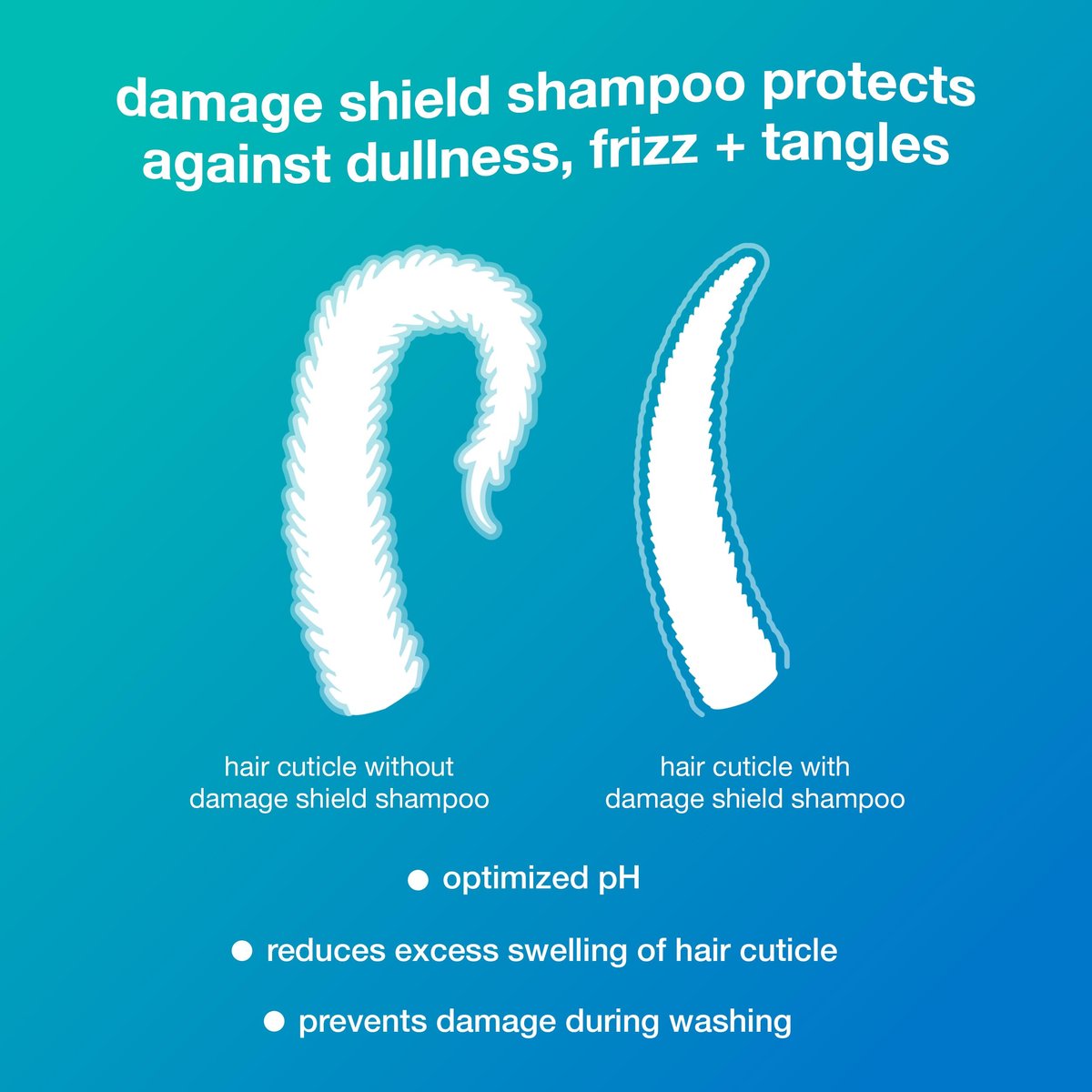 K18 Damage Shield Wash Care Set | Full-Size Color-Safe Shampoo & Conditioner | Reduces Frizz, Tangles & Protects Hair Health Avelisse