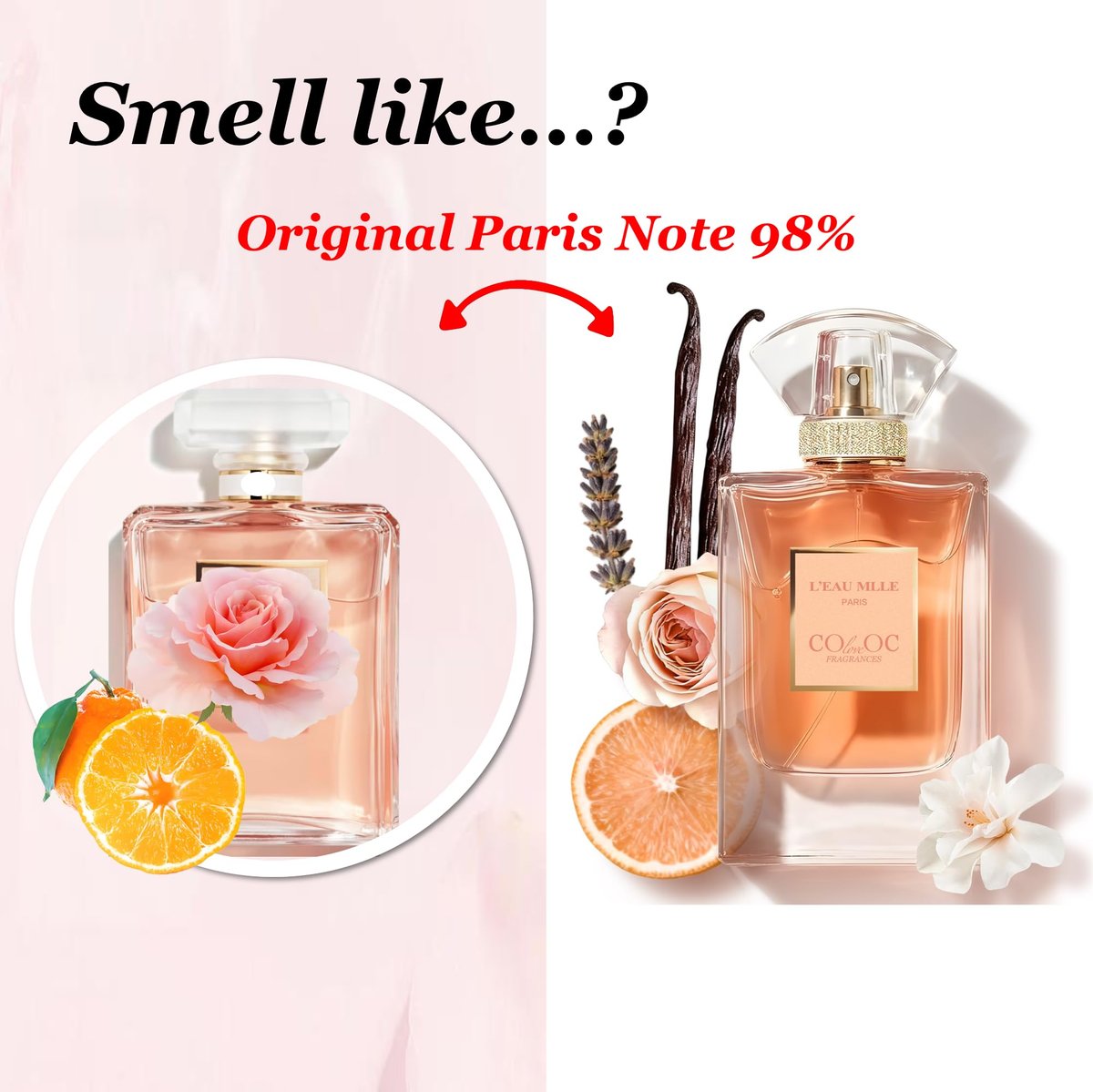 L'EAU MLLE Paris Eau de Parfum – Fresh & Floral Oriental Women's Perfume, Inspired by Coco Mademoiselle, Long Lasting Fragrance, 1.7 Fl Oz Avelisse