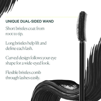 Well People Expressionist Curling Mascara – Curved Brush, Weightless Formula with Olive & Jojoba Oils, Smudge-Resistant, Clump-Free, Black Avelisse