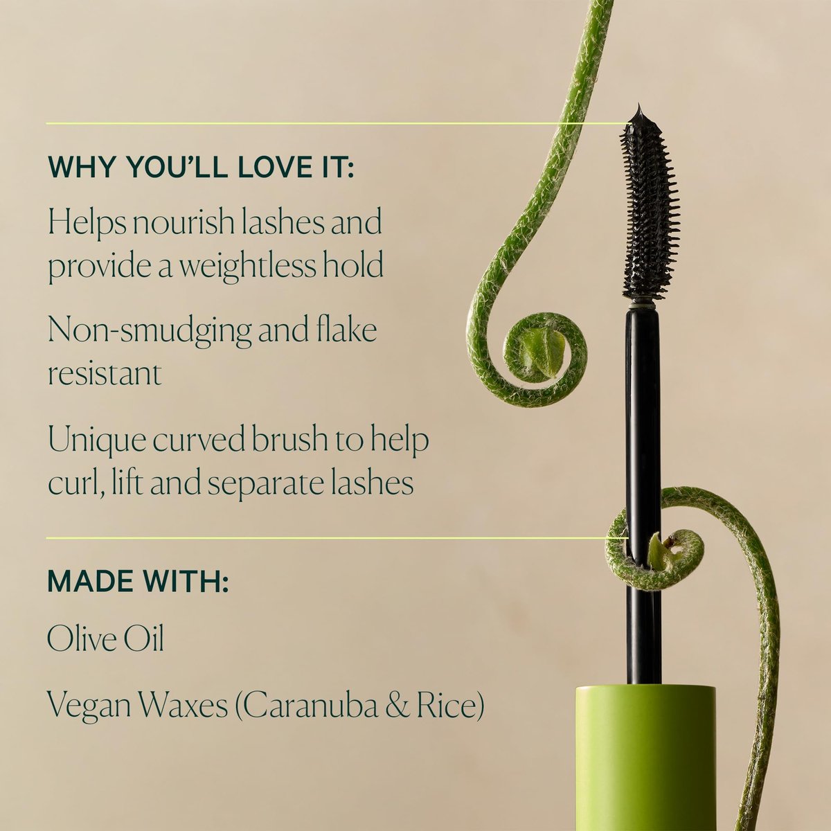 Well People Expressionist Curling Mascara – Curved Brush, Weightless Formula with Olive & Jojoba Oils, Smudge-Resistant, Clump-Free, Black Avelisse