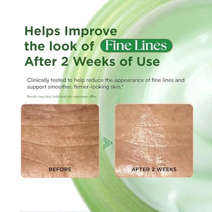 VELVENTE Matcha Facial Moisturizer with Rose PDRN & Korean Peptides – Hydrating Firming Cream for Anti-Aging, Dark Spots & Uneven Skin Tone – Soothing Radiance for Soft, Glowy Skin – All Skin Types, 3.53 oz Avelisse