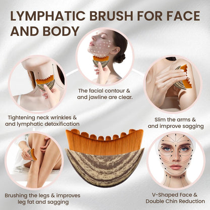 3-in-1 Lymphatic Contour Face Brush: Facial Dry Brush, Lymphatic Lifter & Jawline Sculptor | Hypoallergenic Ergonomic Design | Reduces Puffiness & Tightens Skin Avelisse