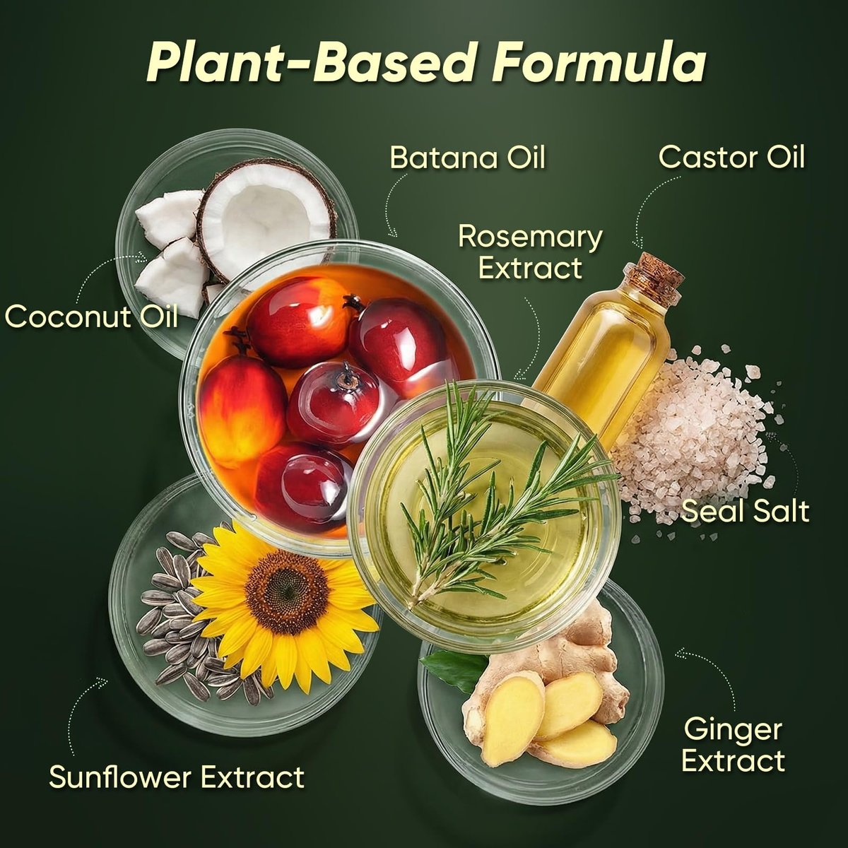 Batana Oil Shampoo for Hair Growth – Rosemary Infused Scalp Treatment Reduces Hair Loss & Nourishes Dry Hair, Adds Volume & Shine for Men & Women, 10.58 fl.oz Avelisse
