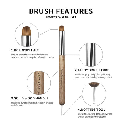 varnishea Kolinsky French Tip Nail Art Brush - Size 6, Solid Wood Handle, Professional Gel & Acrylic Nail Dotting Tool for Manicure Clean Up
