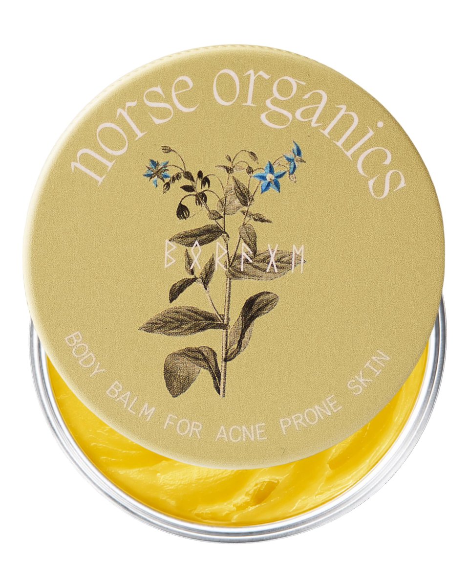 Norse Organics Body Balm for Acne Prone Skin – Arctic Herbs & Beeswax for Back, Chest, Shoulders – Natural Formula with Thistle, Rosehip, Marigold, Sea Buckthorn – 1.7 oz Avelisse
