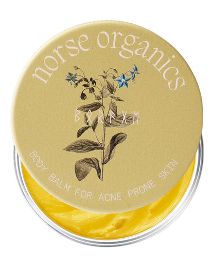 Norse Organics Body Balm for Acne Prone Skin – Arctic Herbs & Beeswax for Back, Chest, Shoulders – Natural Formula with Thistle, Rosehip, Marigold, Sea Buckthorn – 1.7 oz Avelisse