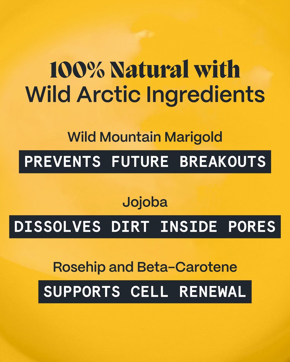 Norse Organics Body Balm for Acne Prone Skin – Arctic Herbs & Beeswax for Back, Chest, Shoulders – Natural Formula with Thistle, Rosehip, Marigold, Sea Buckthorn – 1.7 oz Avelisse
