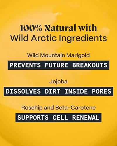 Norse Organics Body Balm for Acne Prone Skin – Arctic Herbs & Beeswax for Back, Chest, Shoulders – Natural Formula with Thistle, Rosehip, Marigold, Sea Buckthorn – 1.7 oz Avelisse