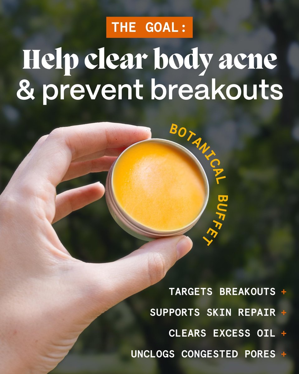 Norse Organics Body Balm for Acne Prone Skin – Arctic Herbs & Beeswax for Back, Chest, Shoulders – Natural Formula with Thistle, Rosehip, Marigold, Sea Buckthorn – 1.7 oz Avelisse