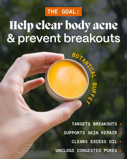 Norse Organics Body Balm for Acne Prone Skin – Arctic Herbs & Beeswax for Back, Chest, Shoulders – Natural Formula with Thistle, Rosehip, Marigold, Sea Buckthorn – 1.7 oz Avelisse