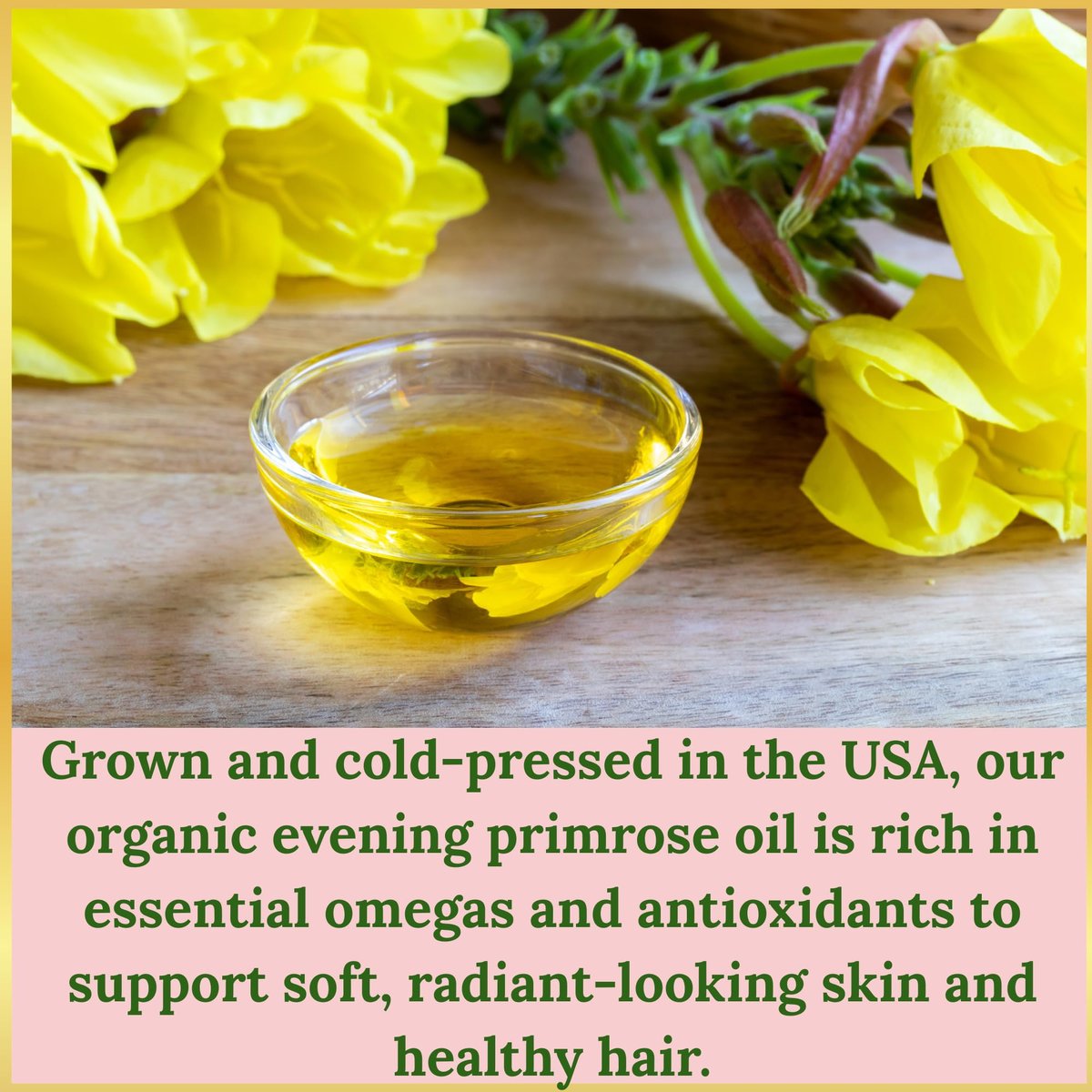 Organic Evening Primrose Oil – 100% Pure, Cold-Pressed & Unrefined, Rich in GLA & Antioxidants, for Skin, Hair & Massage, 4 fl oz Glass Bottle Avelisse