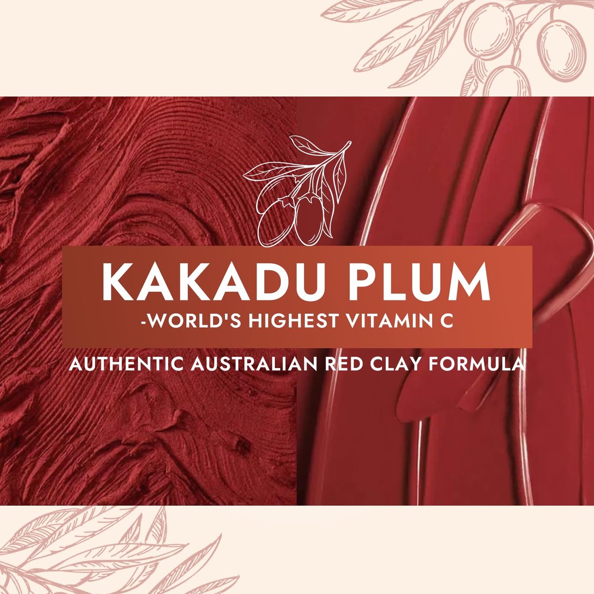 FMRFMR Australian Red Clay Face Mask – Deep Cleansing Detox Mud Mask with Kakadu Plum & Desert Lime, Pore Minimizing Natural Clay Mask for All Skin Types, 3.52 oz Avelisse