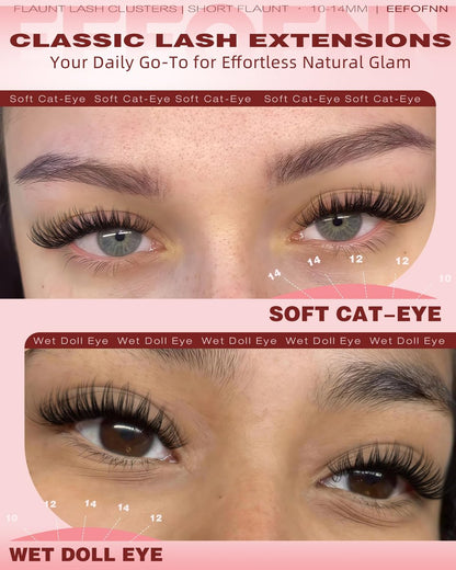 Wispy Lash Clusters 10-14mm Individual Lashes Natural Wet Look C Curl DIY Eyelash Extensions Wide Band Beginner-Friendly by EEFOFNN (Short Flaunt)