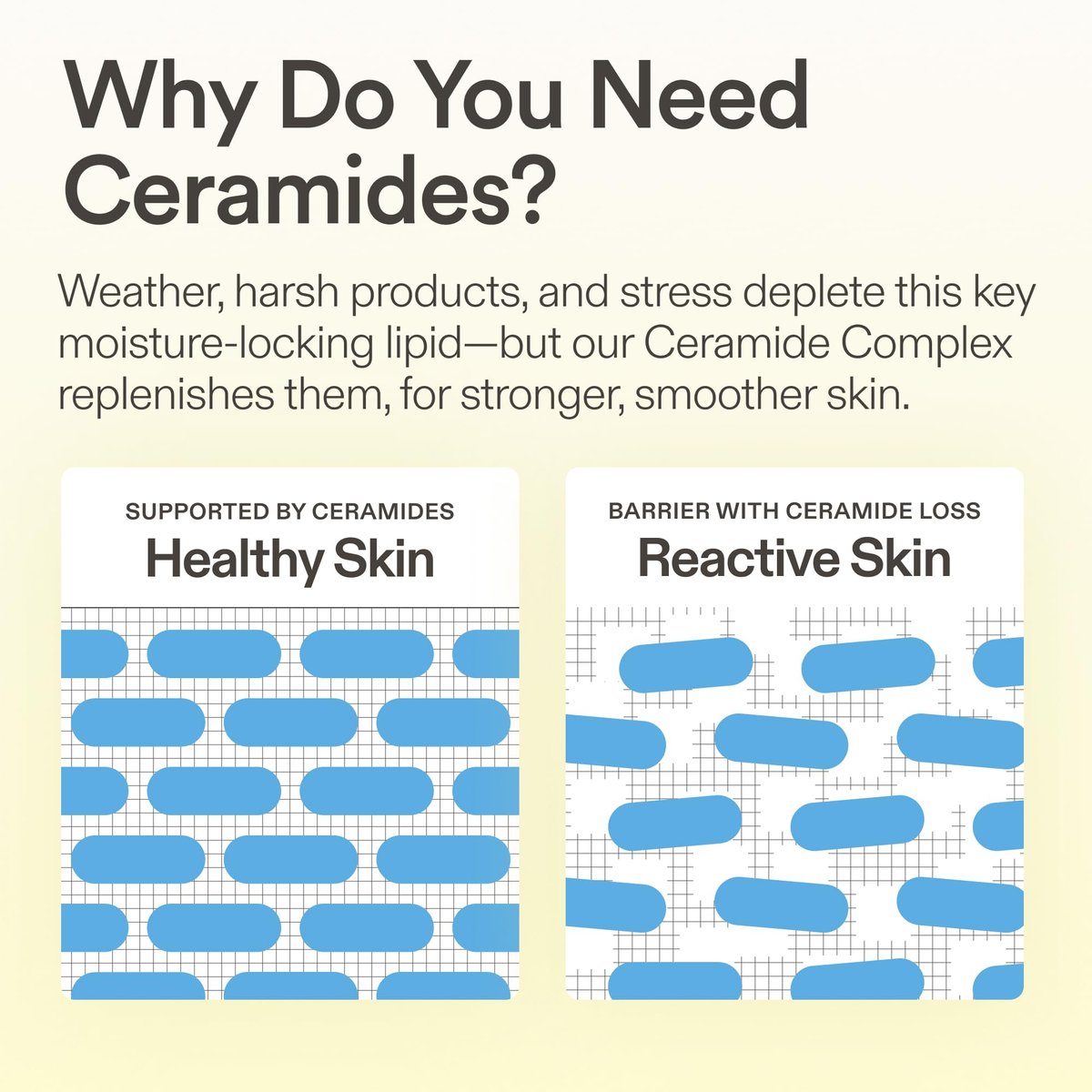 Skinfix Ceramide Prime Whipped Cream - Lightweight Face Moisturizer with Niacinamide & Peptides - 1.7 oz, Fragrance Free, Vegan & Cruelty Free Avelisse