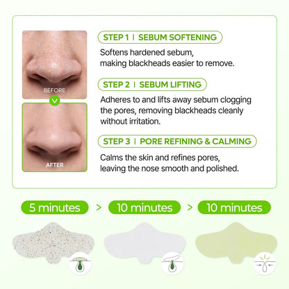 Dr.Melaxin CACTOX 3-Step Nose Mask Pack with AHA & PHA for Sebum Softening, Pore Tightening & Skin Repair - 3 Count
