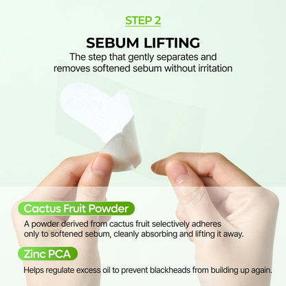 Dr.Melaxin CACTOX 3-Step Nose Mask Pack with AHA & PHA for Sebum Softening, Pore Tightening & Skin Repair - 3 Count