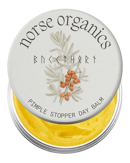 Norse Organics Pimple Stopper Day Balm – 6-in-1 Daytime Acne Treatment with Arctic Herbs & Beeswax, 1 oz Avelisse