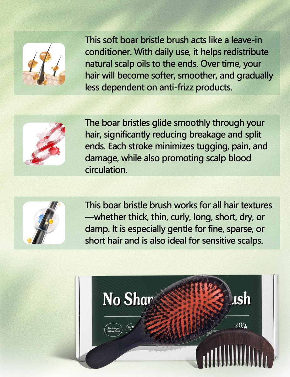 No Shampoo Hair Brush with Wide Tooth Comb - Boar Bristle Hair Brush Set for Dry and Wet Detangling, Enhances Shine Avelisse