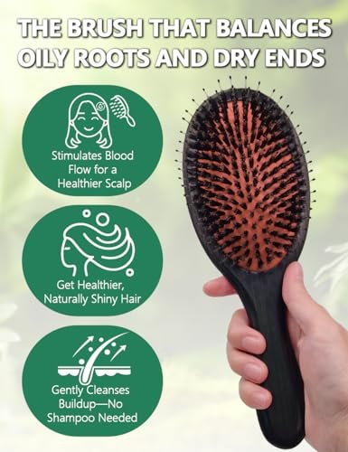 No Shampoo Hair Brush with Wide Tooth Comb - Boar Bristle Hair Brush Set for Dry and Wet Detangling, Enhances Shine Avelisse