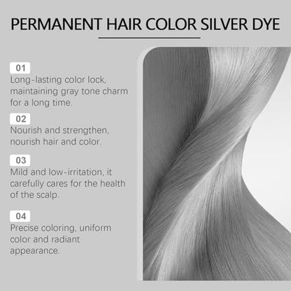Permanent Silver Hair Dye with Natural Essence – Long-Lasting Silver Hair Color for All Hair Types (2-Pack) Avelisse