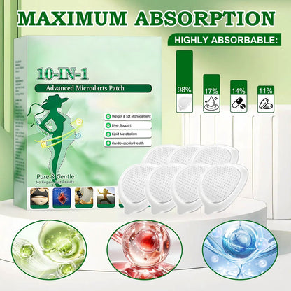 HongChengSM Moringa 10-in-1 Nano Microdarts Patch - Advanced Natural Skin Care for Firming, 2 Boxes Avelisse
