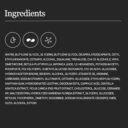 ROUND LAB Camellia Collagen PDRN Milky Toner - Hydrating & Elasticity-Boosting Glass Skin Toner with Low Molecular Collagen and Camellia Flower Extract (5.07 Fl Oz) Avelisse