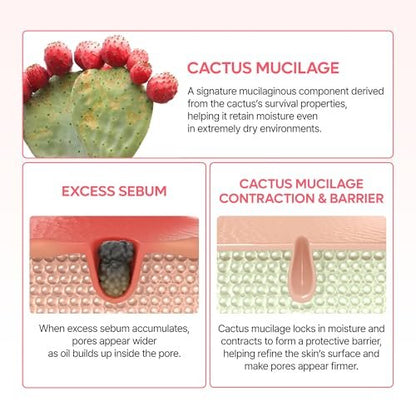 Dr.Melaxin Cactox Pore Dual Capsule Cream – Pore Minimizing & Hydrating Face Cream with Cactus Extract, PDRN & Vegan Collagen Avelisse