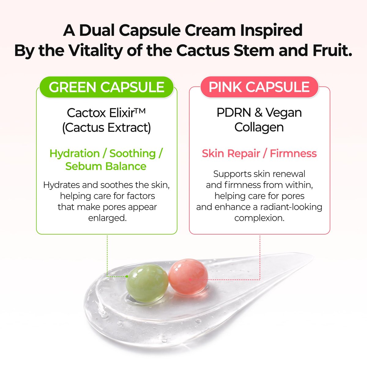Dr.Melaxin Cactox Pore Dual Capsule Cream – Pore Minimizing & Hydrating Face Cream with Cactus Extract, PDRN & Vegan Collagen Avelisse