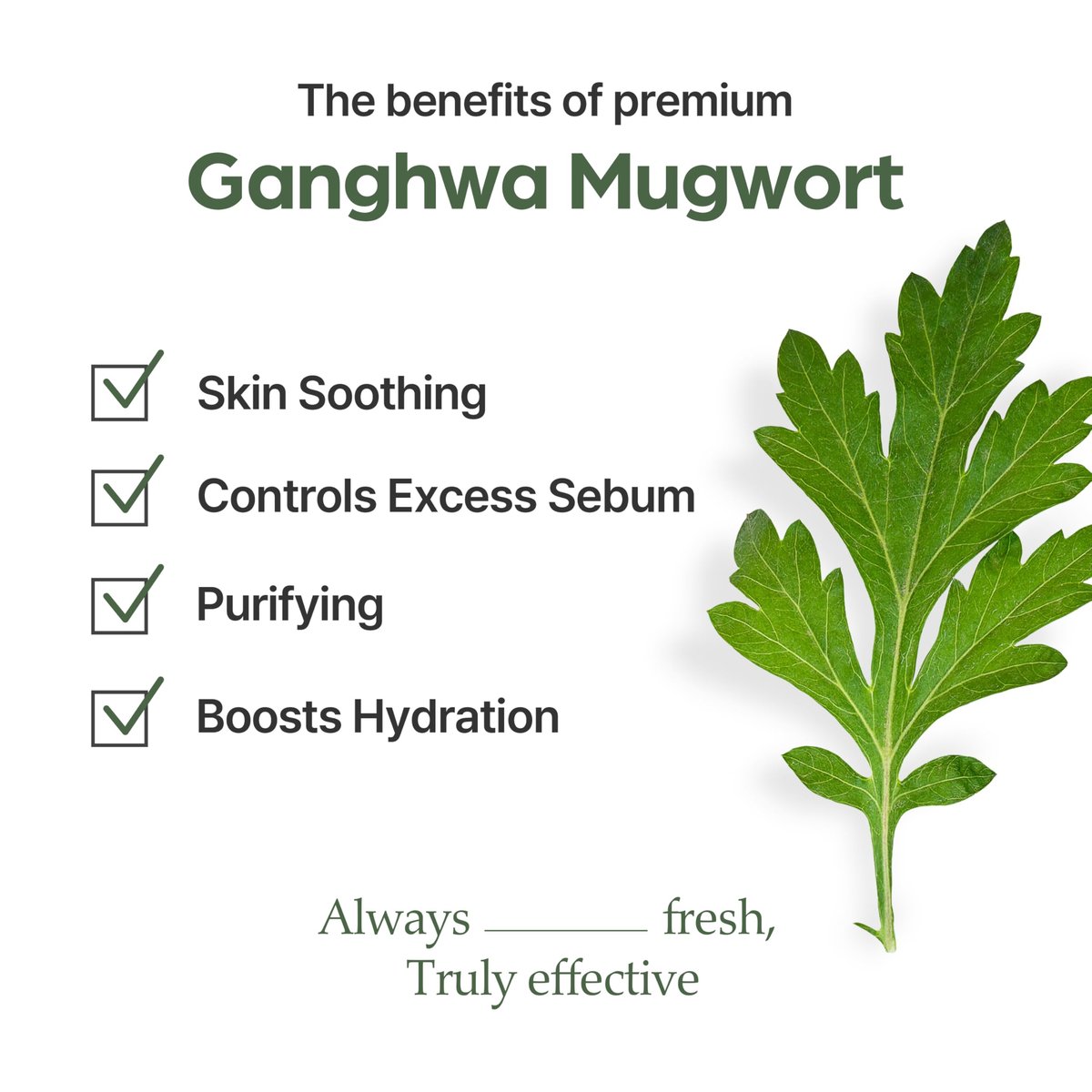 I'm from Mugwort Mask - Wash-Off Calming Face Mask with Mugwort Extract, Cooling & Soothing Care for Sensitive Skin, Korean Skincare (2.46 fl.oz) Avelisse