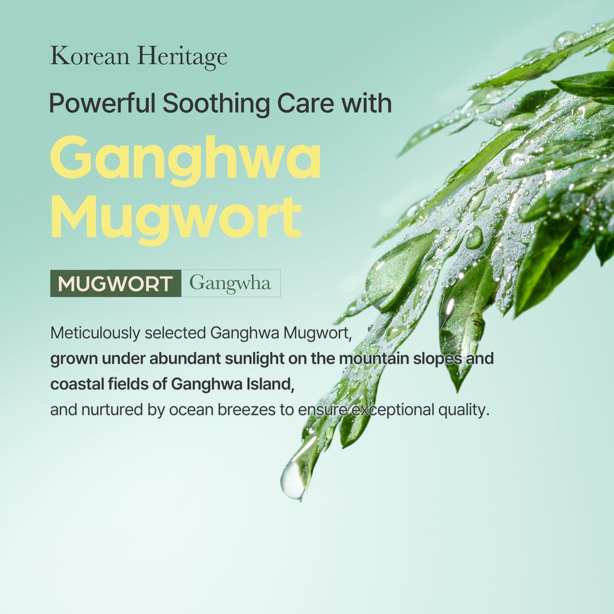 I'm from Mugwort Mask - Wash-Off Calming Face Mask with Mugwort Extract, Cooling & Soothing Care for Sensitive Skin, Korean Skincare (2.46 fl.oz) Avelisse
