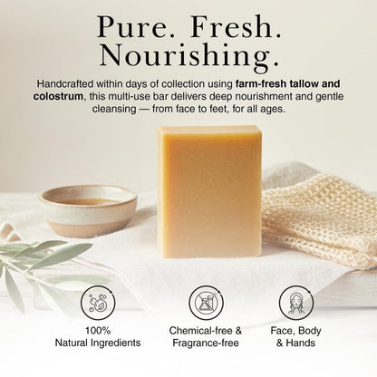 Nurst Tallow Colostrum Soap Bar - Handmade Grass-Fed Tallow & Honey Soap for Face, Body & Hands - Simple, Natural Ingredients for All Skin Types - 4.5 oz