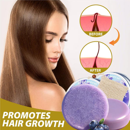 Blueberry Fields Shampoo & Conditioner Bundle Bars – 2 Pack for Thinning Hair & Frizz Control