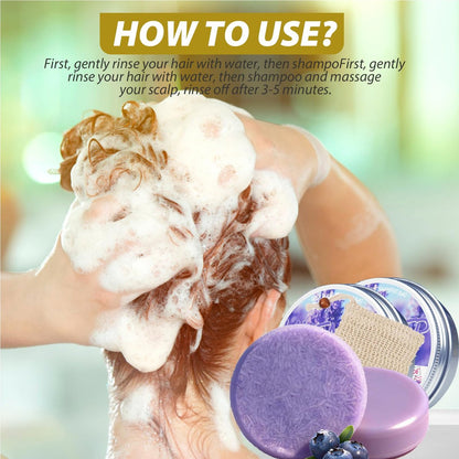 Blueberry Fields Shampoo & Conditioner Bundle Bars – 2 Pack for Thinning Hair & Frizz Control