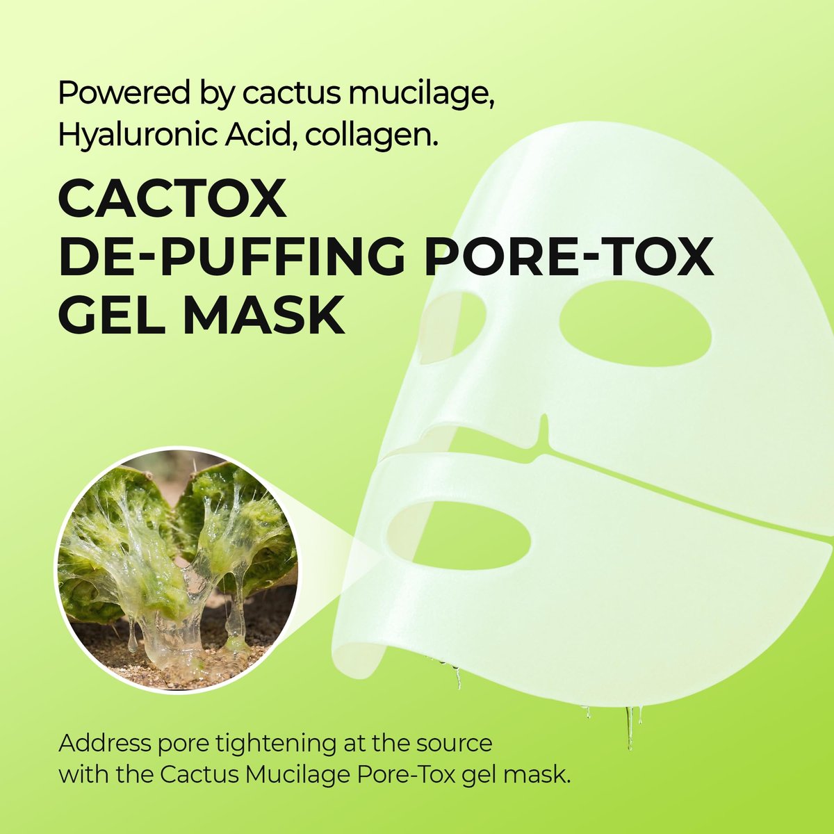 Dr.Melaxin CACTOX DE-PUFFING PORE TOX GEL MASK 4EA – Cactus Cooling Mask for Puffiness & Pore Tightening Avelisse